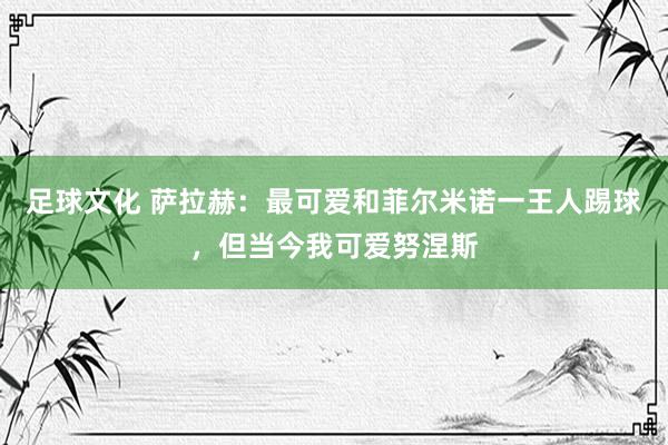 足球文化 萨拉赫：最可爱和菲尔米诺一王人踢球，但当今我可爱努涅斯