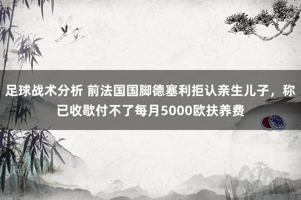 足球战术分析 前法国国脚德塞利拒认亲生儿子，称已收歇付不了每月5000欧扶养费