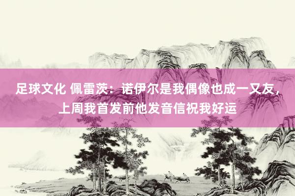 足球文化 佩雷茨：诺伊尔是我偶像也成一又友，上周我首发前他发音信祝我好运