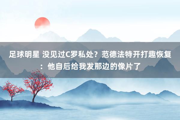 足球明星 没见过C罗私处？范德法特开打趣恢复：他自后给我发那边的像片了