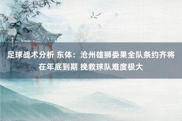 足球战术分析 东体：沧州雄狮委果全队条约齐将在年底到期 挽救球队难度极大