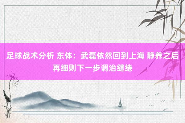 足球战术分析 东体：武磊依然回到上海 静养之后再细则下一步调治缱绻