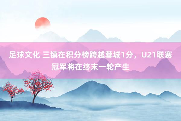 足球文化 三镇在积分榜跨越蓉城1分，U21联赛冠军将在终末一轮产生