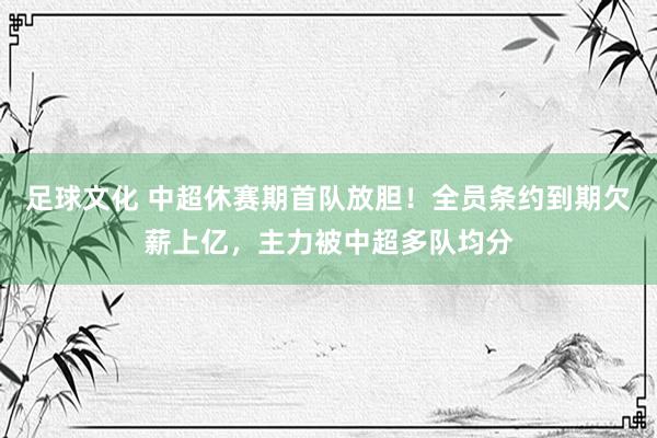 足球文化 中超休赛期首队放胆！全员条约到期欠薪上亿，主力被中超多队均分